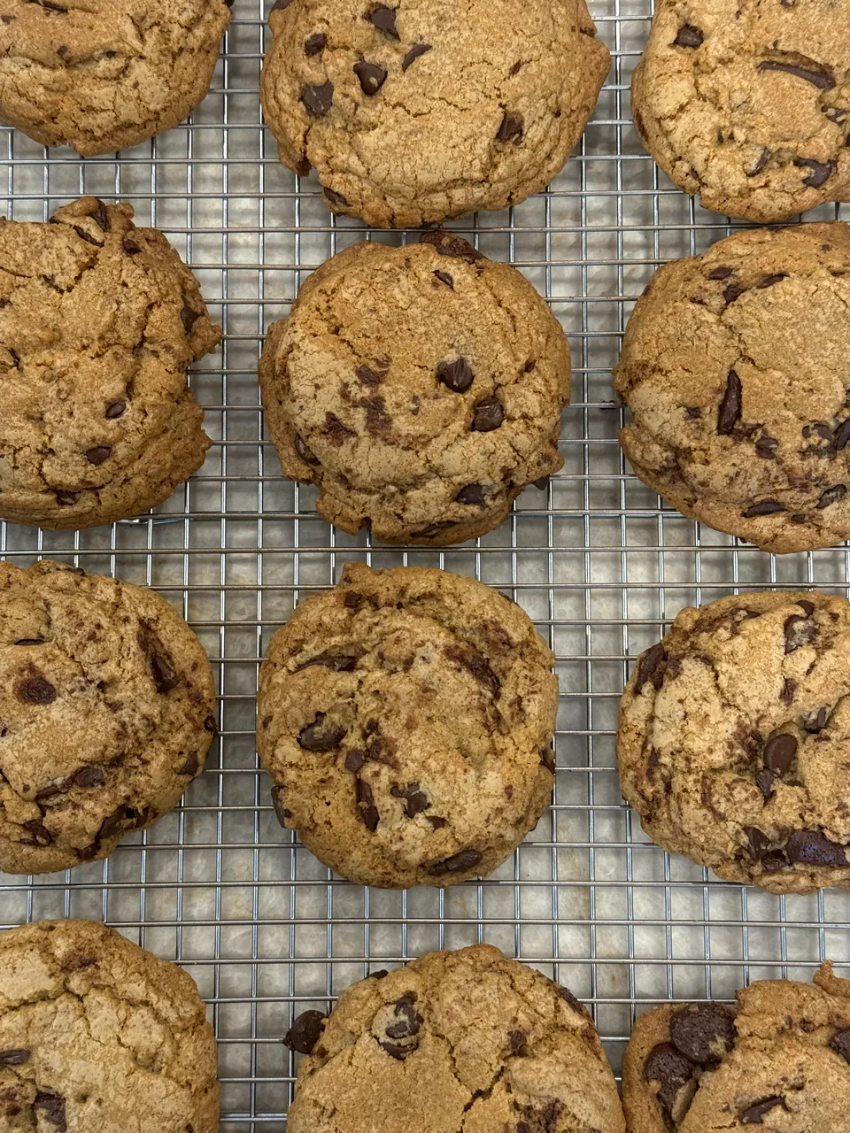 Chocolate chip cookies cooling on a rack